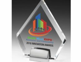 clear crystal award triangle shape with metal base printed with logo